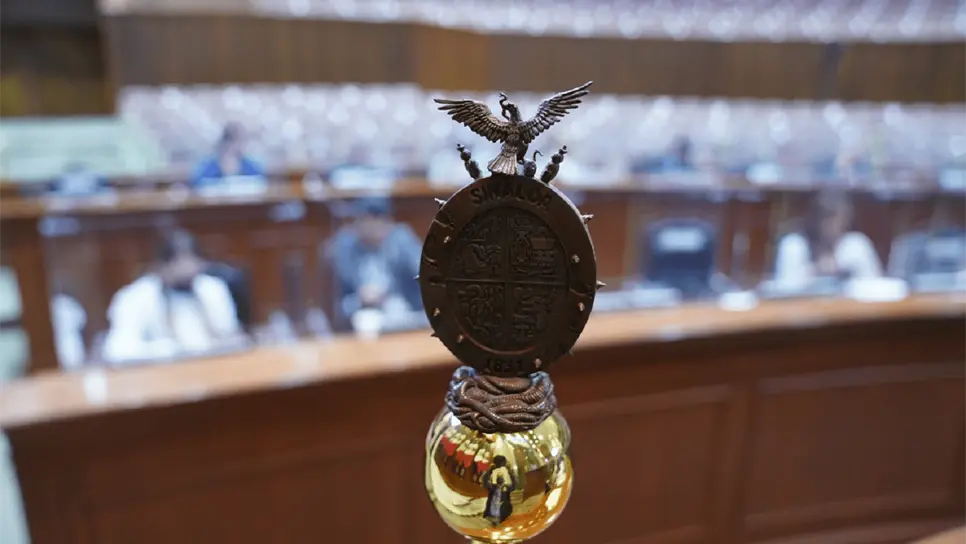 «El Congreso, facultado para transformar la vida interna de la UAS»: Imelda Castro