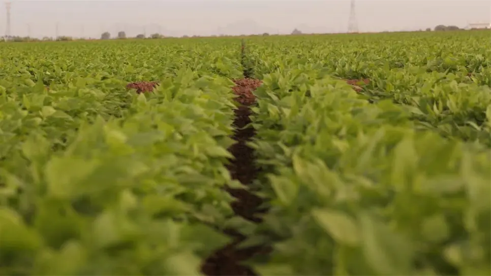 FOTO: Martín Ruiz | Archivo.