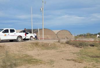 Don Jesús murió en el ejido Macapule al ser embestido por una camioneta