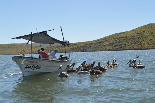Imagen Placeholder