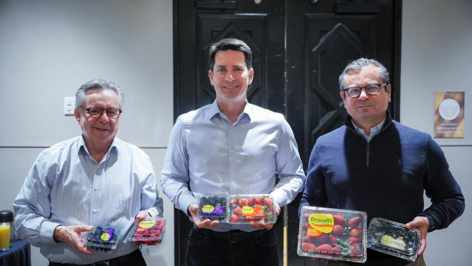 Impulsan agricultura de berries con pequeños productores