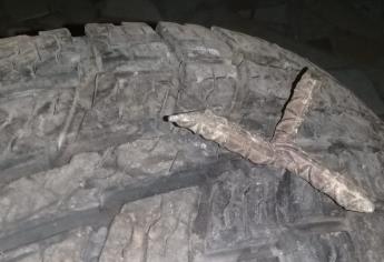 Advierten de «ponchallantas» por la Mochis - Ahome
