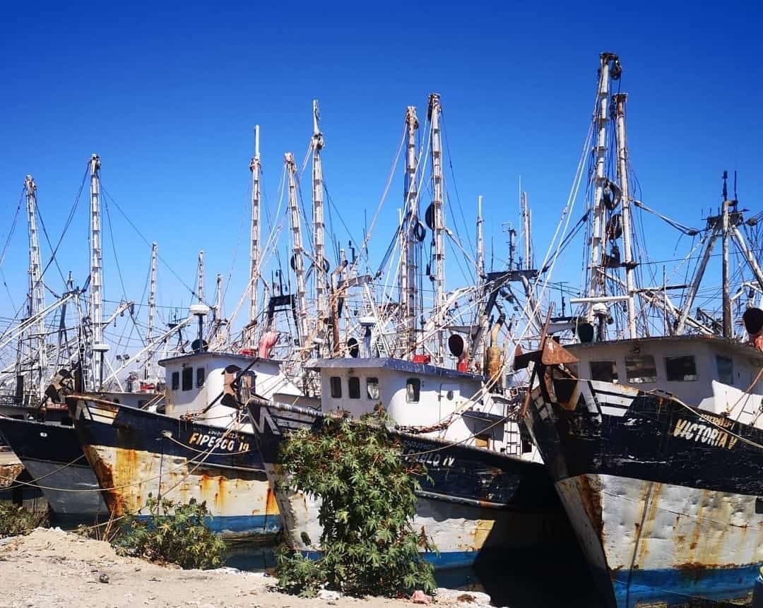 FOTO: Hugo Rodríguez.