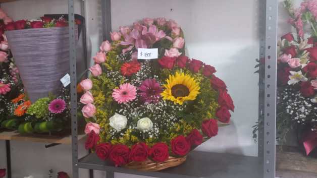 Imagen Placeholder