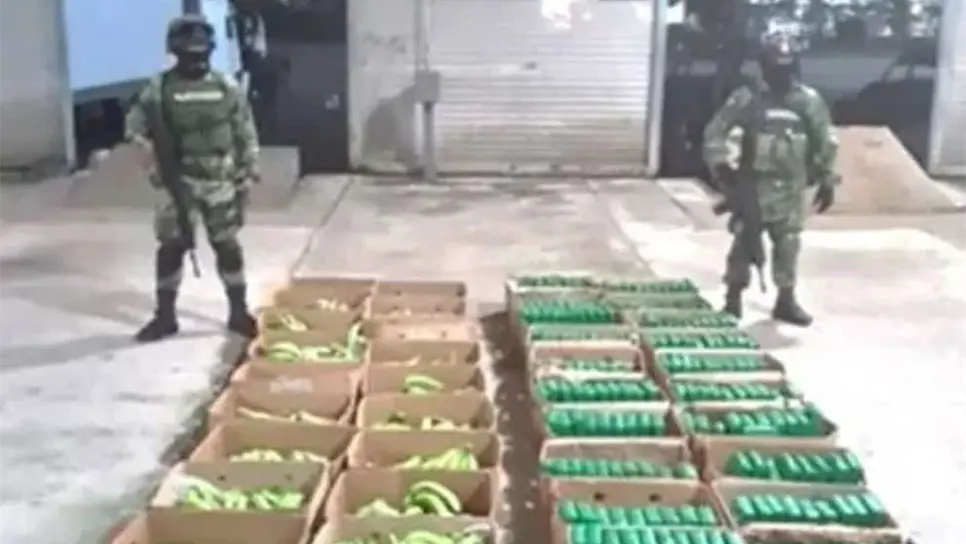 Aseguran 300 kilos de cocaína ocultos en plátanos