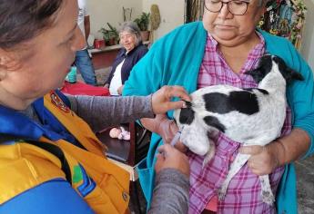 Colonias de Los Mochis donde vacunarán contra la rabia