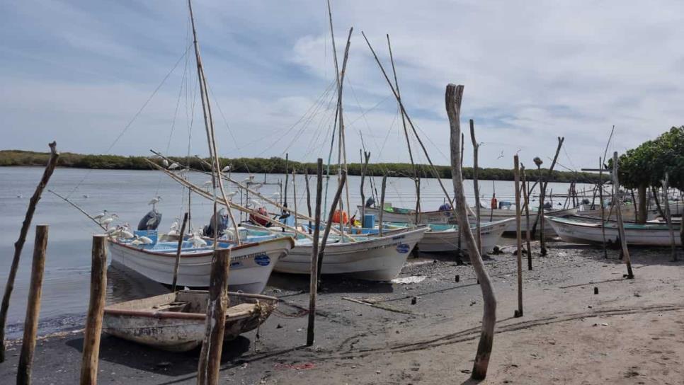 Dos pescadores de El Colorado están desaparecidos en altamar desde hace tres días