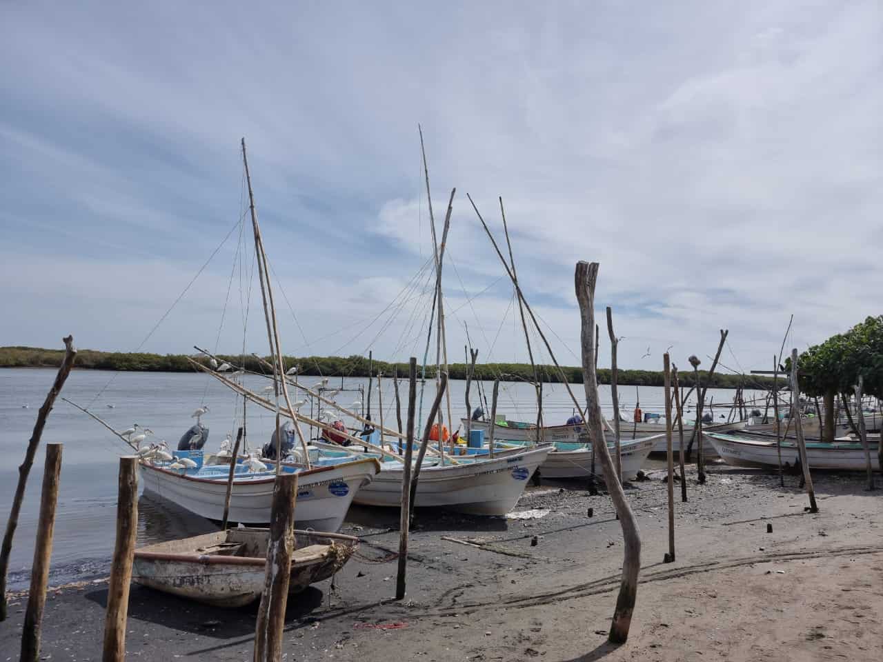 FOTO: Ernesto Torres.