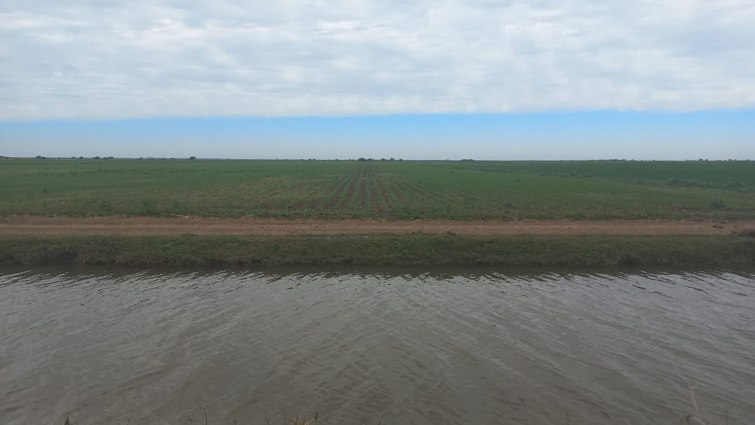 Terreno donde se pretende construir la Universidad del Valle del Carrizo. FOTO: Esthela García.