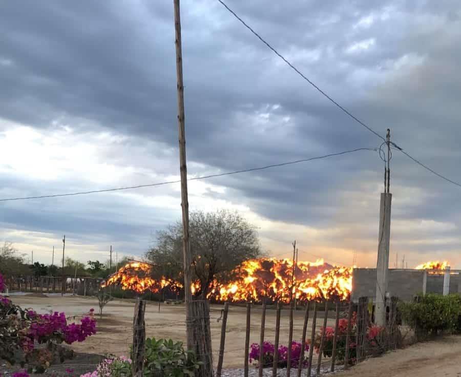 Pérdida millonaria: se queman siete mil pacas de maíz en la sindicatura de Emiliano Zapata, Culiacán