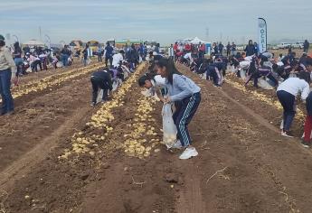 Niños se divierten y recolectan papa en el arranque del Festival «Pa la papa 2023»