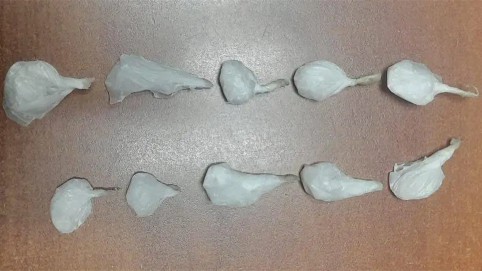 FOTO: Cortesía.