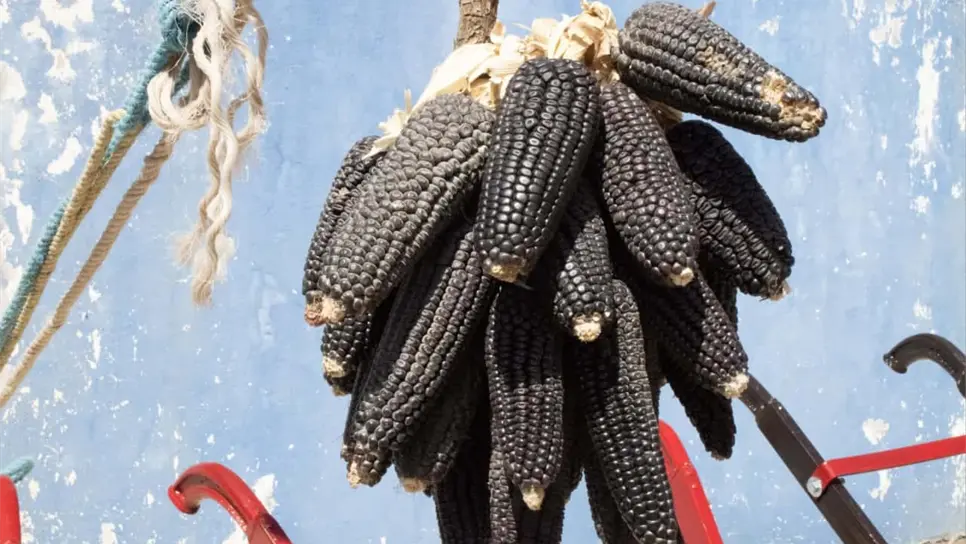 FOTO: Esthela García.