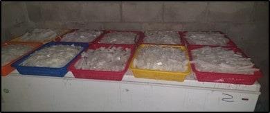 Ejército Mexicano asegura más de una tonelada de posible metanfetamina en Cosalá