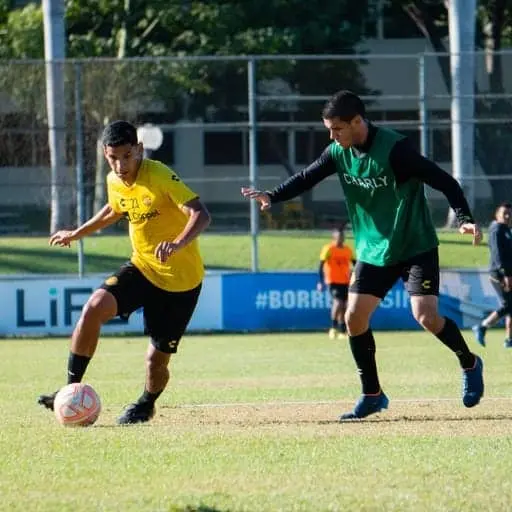 Dorados recibe a Tepatitlán este miércoles en la Pecera