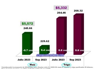 México aprovecha precio bajo del maíz y compra 338 mil 700 toneladas a EU