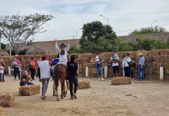 Niños con discapacidad motriz y físicas, recibirán equinoterapias gratuitas en Mazatlán