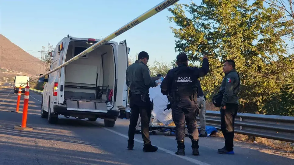 FOTO: Luz Noticias | Temática.