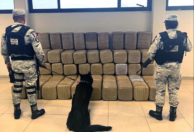 Interceptan más de 600 kilos de mariguana enviada de Mazatlán
