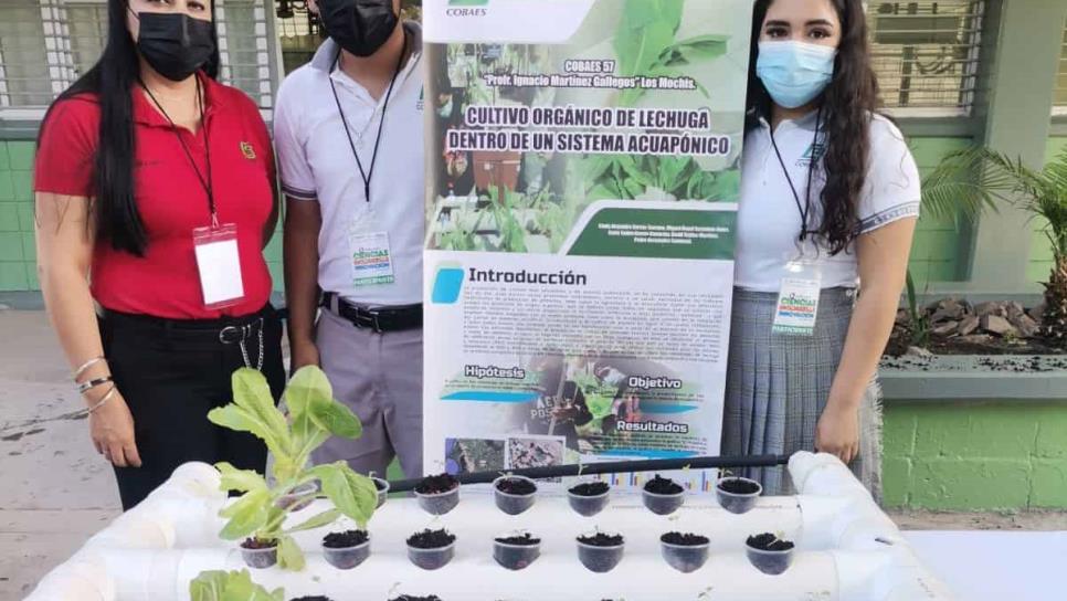 Cobaes participa con 18 proyectos de alumnos en la Feria Mexicana de Ciencias e Ingenierías 2022