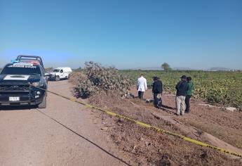 Abogado Jesús Ríos, el hombre hallado asesinado en Culiacancito