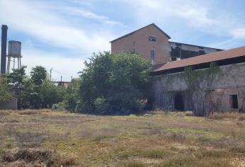 Proponen parque temático en terrenos del Ingenio en Los Mochis