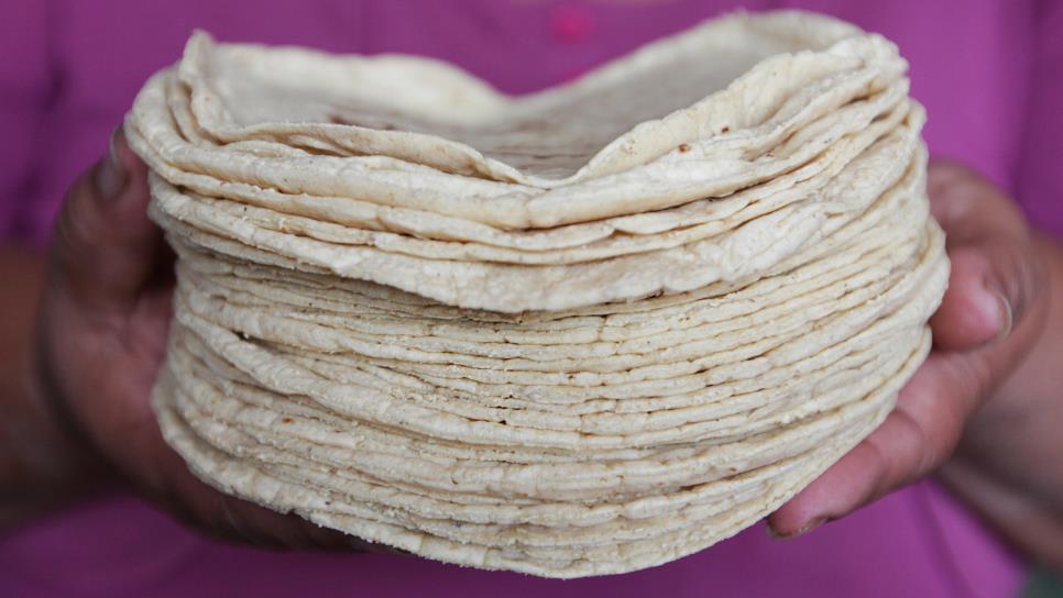 El kilo de tortillas sube a 26 pesos en Culiacán