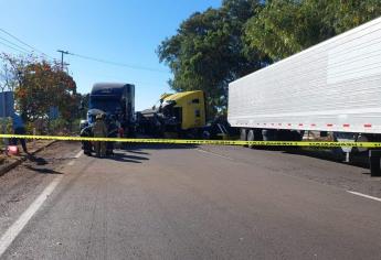 Choque de tres tráileres deja daños materiales en la maxipista Culiacán-Mazatlán