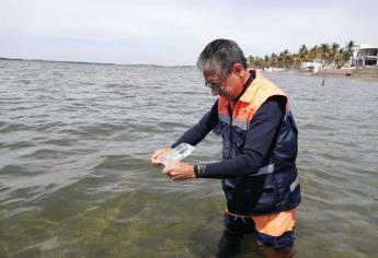 ¿Están libres de heces fecales las playas de Sinaloa?, conoce los resultados