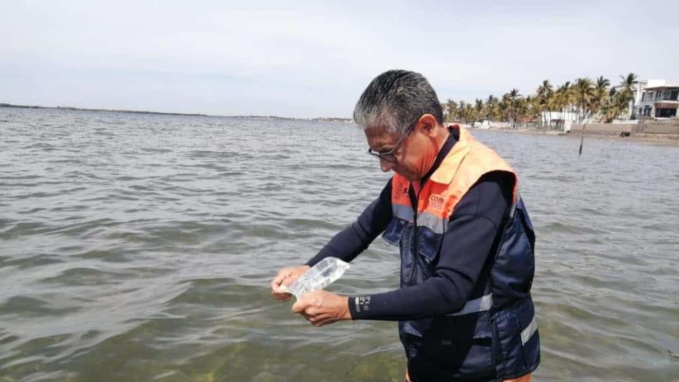 ¿Están libres de heces fecales las playas de Sinaloa?, conoce los resultados