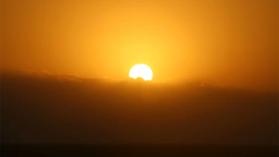 FOTO: temática.