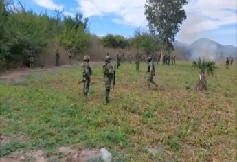 Militares destruyen más de 3.5 hectáreas de amapola en la sierra del municipio de Sinaloa