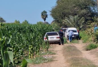 Semidesnudo encuentran muerto a un regador cerca de Goros II, Ahome