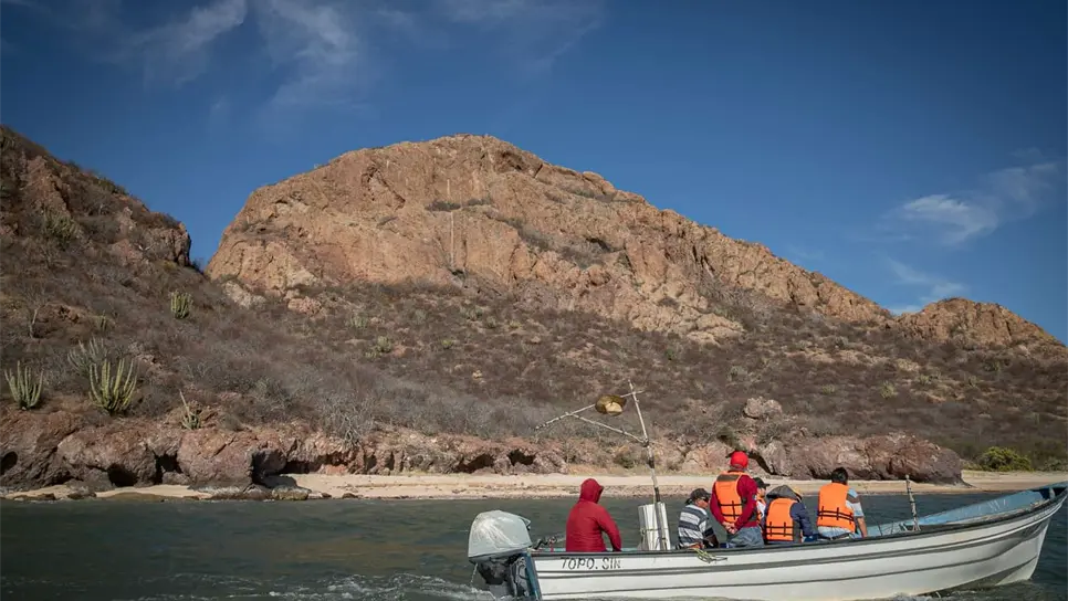 Alistan el 28º Festival Internacional de las Artes Navachiste 2023. | FOTO: Cortesía.