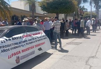 Multigranos cumple 4 años sin pagar trigo y maíz; productores se manifiestan