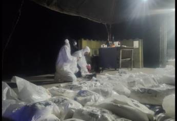 Militares incautan 280 kilos de fentanilo en El Desengaño, Sinaloa 