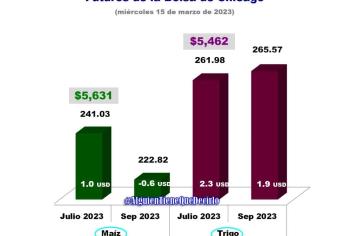 Ucrania dejará de exportar granos, sube el precio del maíz y el trigo