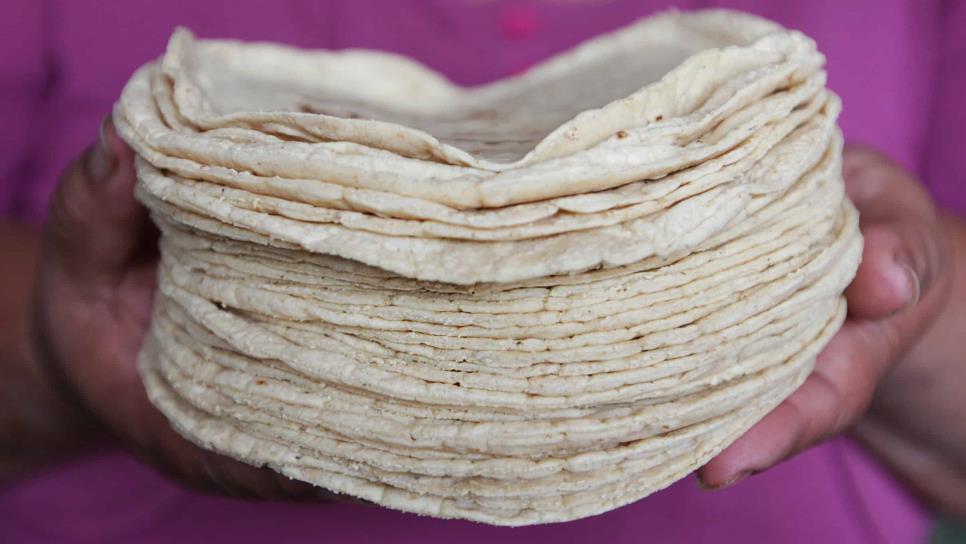 Baja el kilo de tortilla a 25 pesos en Sinaloa