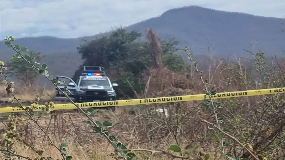 FOTO: Luz Noticias | Temática.