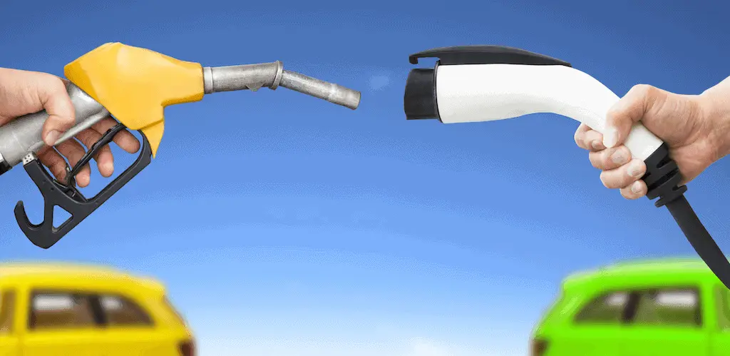 ¿Cuál es tu mejor opción? descúbrelo a continuación. FOTO: Internet