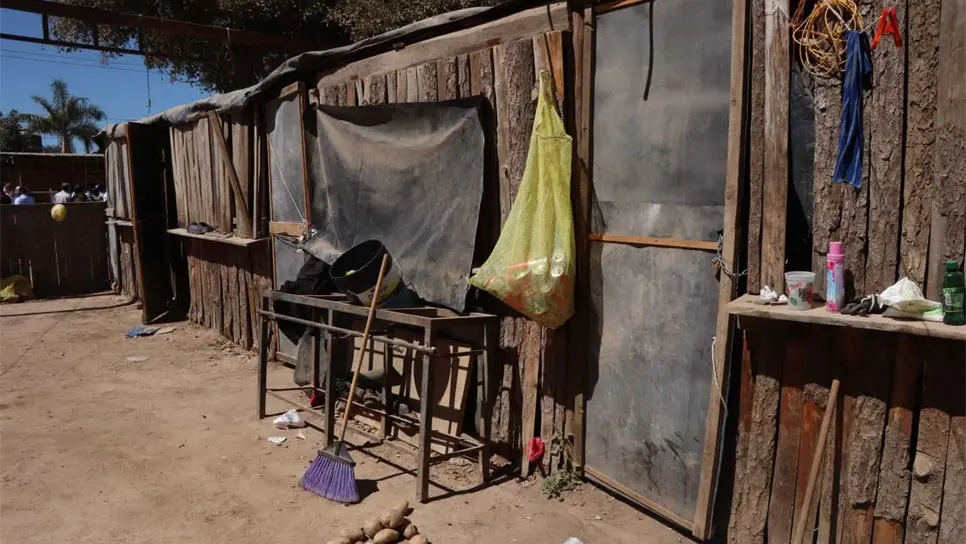 87 hijos de jornaleros en Juan José Ríos estaban enfermos; todos son menores a un año . | FOTO: Martín Ruiz.