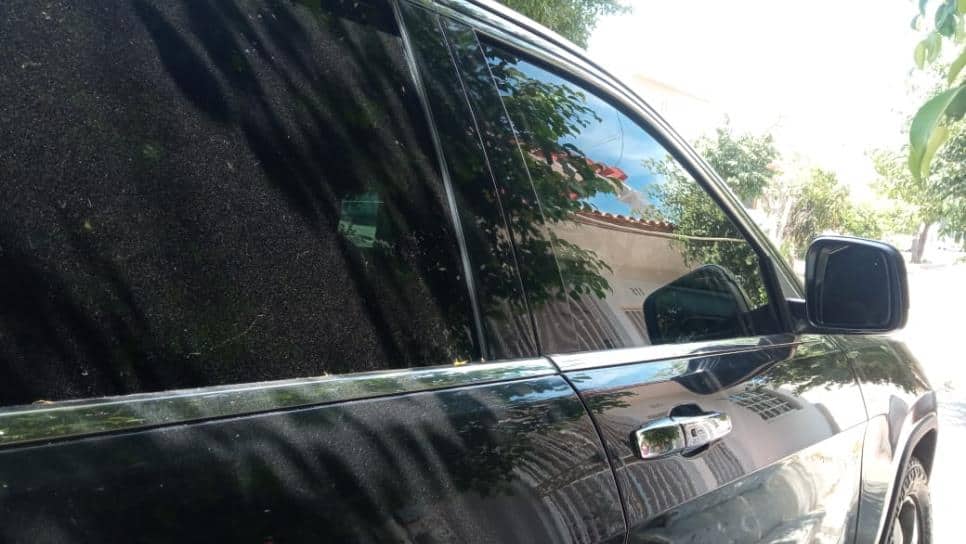 Las multas están llegando hasta los $2,000. FOTO: Luz Noticias