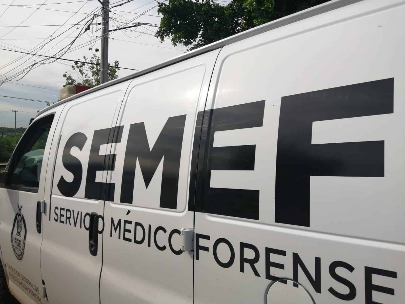 FOTO: Luz Noticias | Temática.