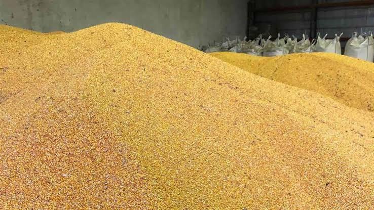 Sinaloa con capacidad para almacenar maíz, trigo y frijol