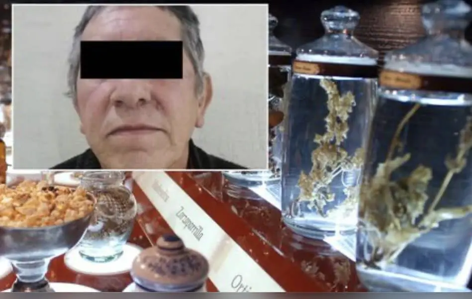 Macabro hallazgo: encuentran órganos en frascos y cabezas de animales. | FOTO: Crónica de Xalapa.