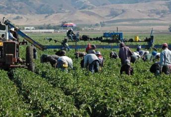 Infonavit embarga millones de pesos a empresas agrícolas de Sinaloa