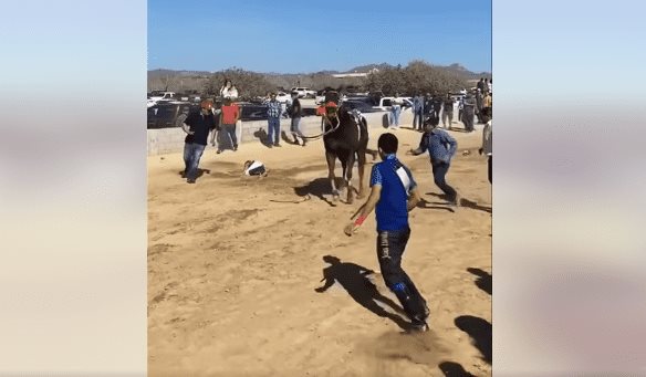 Hombre sufre brutal accidente en carrera de caballos en Migriño | VIDEO