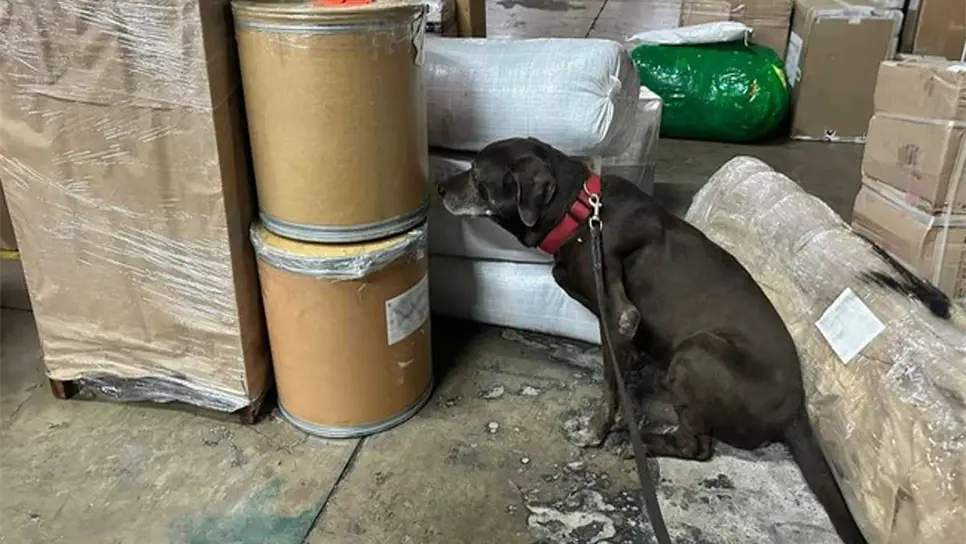 En bolsas de té detectan droga, esto ocurrió en Filipinas. | FOTO: Internet.