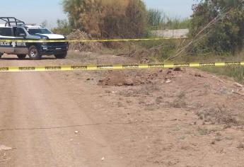 Localizan mandíbula y otros restos óseos en Casa Blanca, Guasave