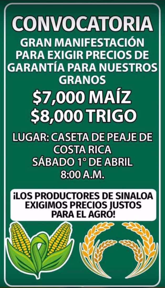 Imagen Placeholder